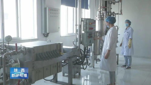 技術賦能 民營經濟釋放新活力——我省民營企業進出口增幅顯著