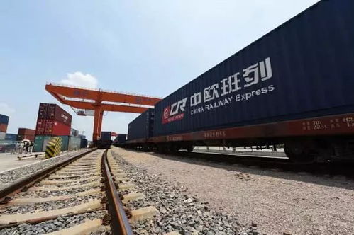 明天起，珠海這些技術進出口項目免費開放，不知道你就虧大了！