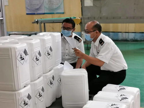 技術進出口領域迎來新規 危險化學品檢驗監管升級，企業需積極應對